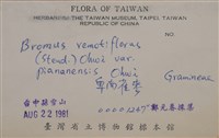 卑南雀麥藏品圖，第2張
